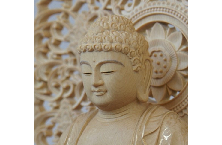 【観相学】耳相3【ブドワールログ】